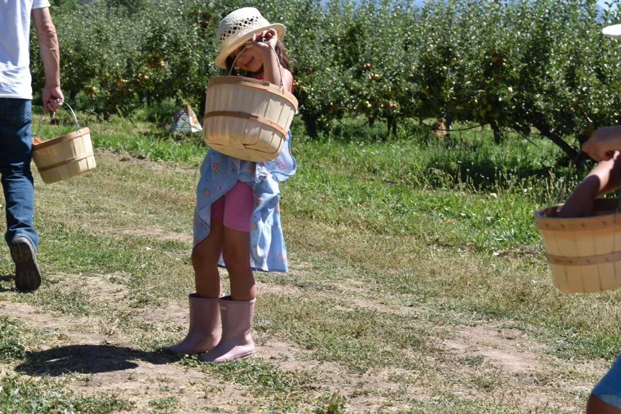 Big Bs Orchard September 2019 19.jpg