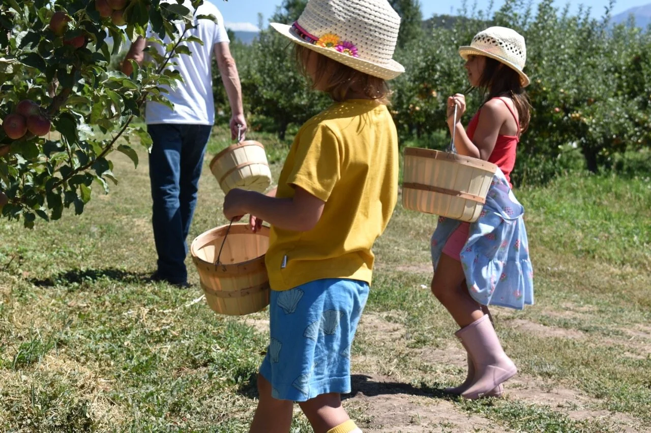 Big Bs Orchard September 2019 20.jpg