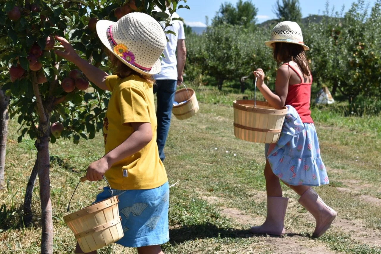 Big Bs Orchard September 2019 21.jpg
