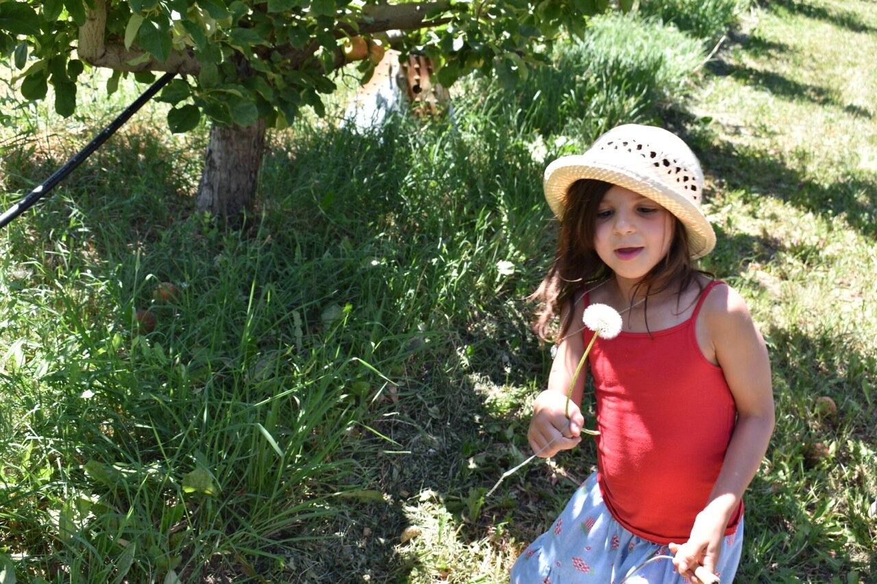Big Bs Orchard September 2019 24.jpg