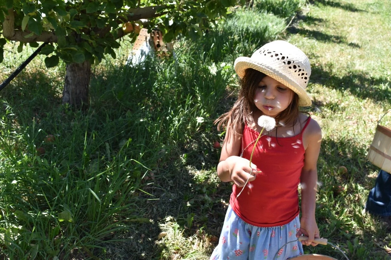 Big Bs Orchard September 2019 25.jpg