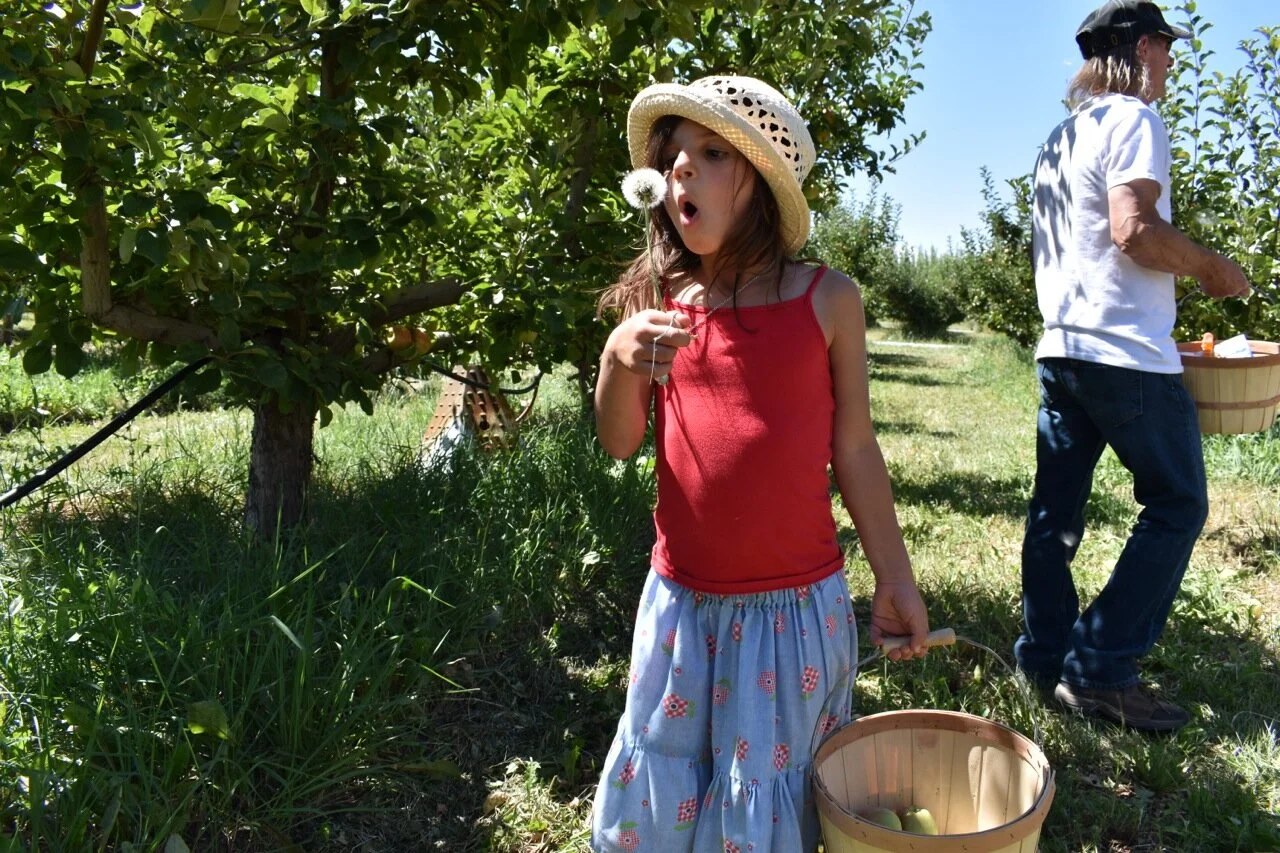 Big Bs Orchard September 2019 26.jpg