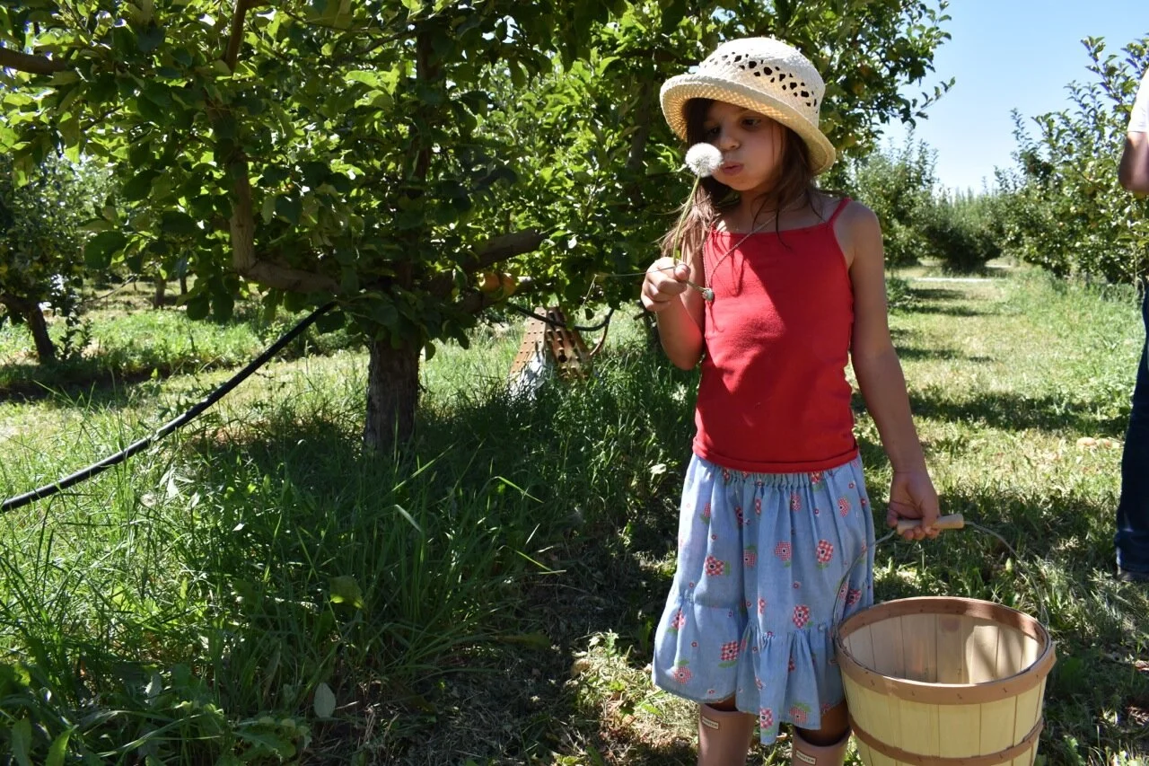 Big Bs Orchard September 2019 27.jpg