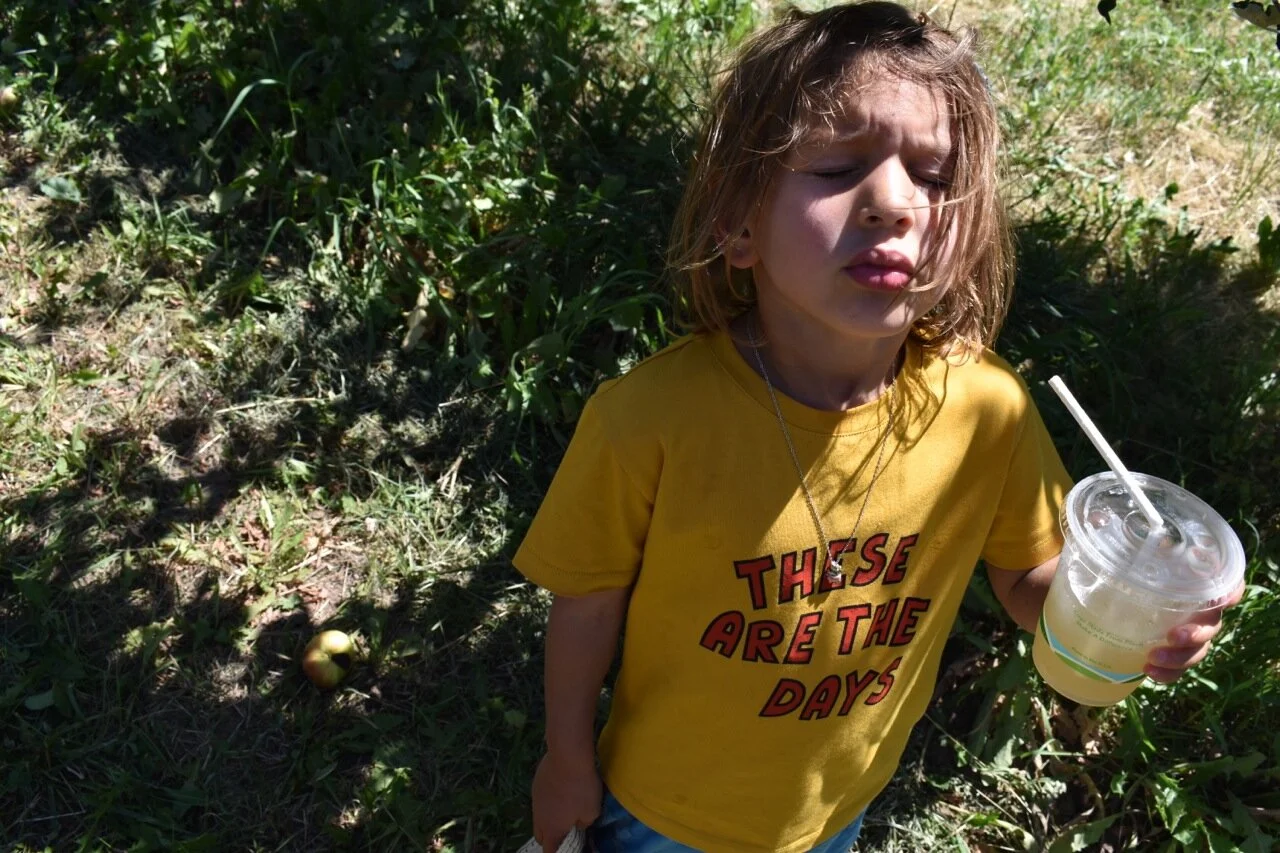 Big Bs Orchard September 2019 31.jpg