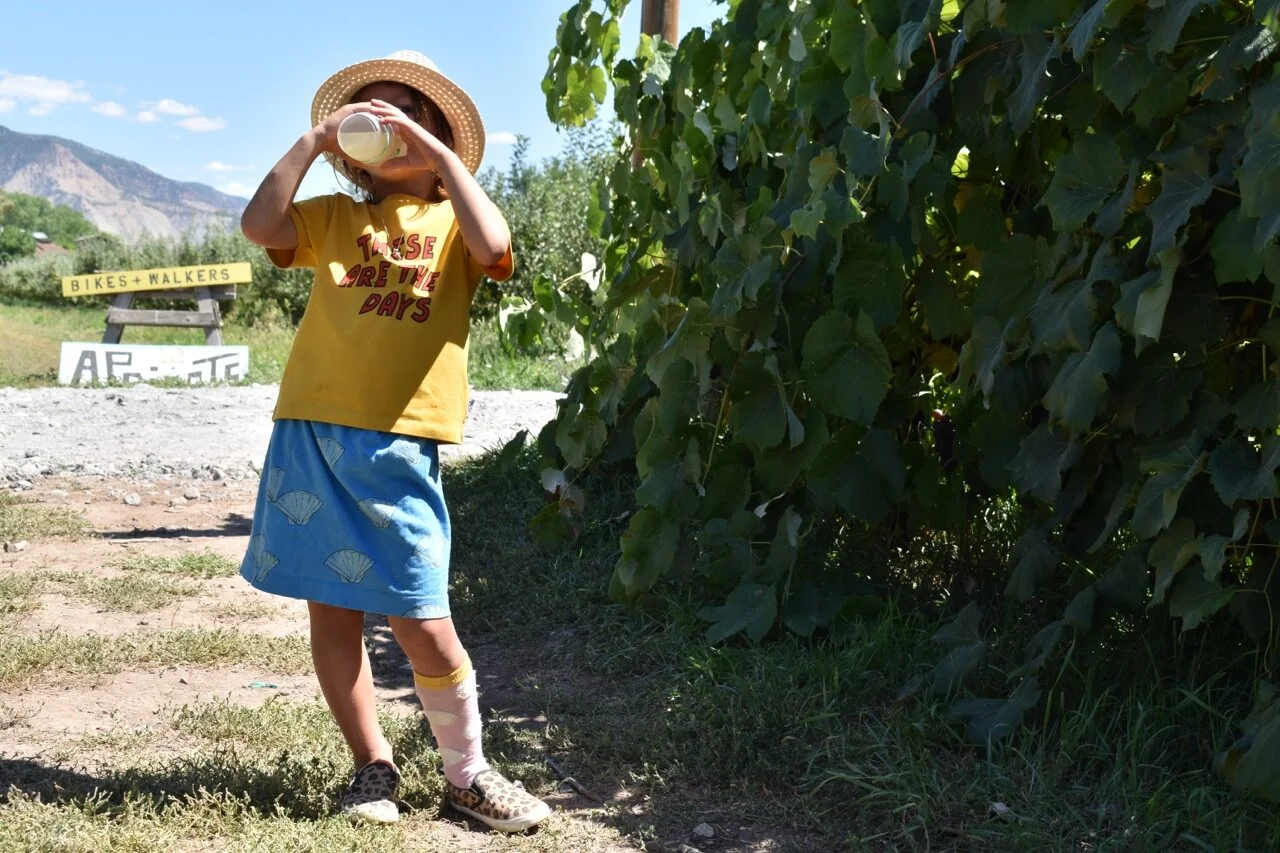 Big Bs Orchard September 2019 33.jpg