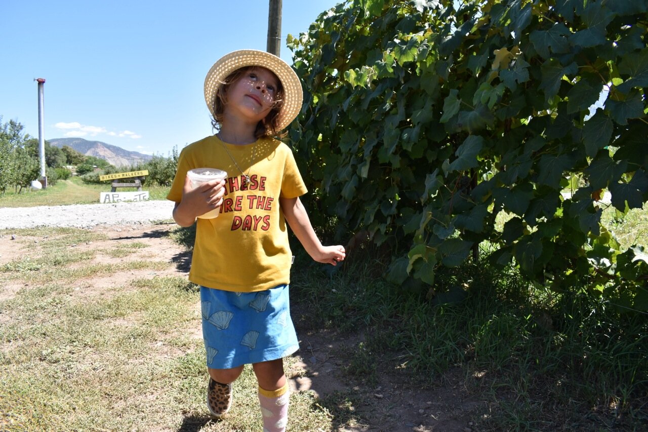 Big Bs Orchard September 2019 34.jpg
