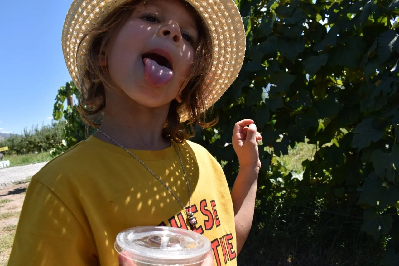 Big Bs Orchard September 2019 35.jpg