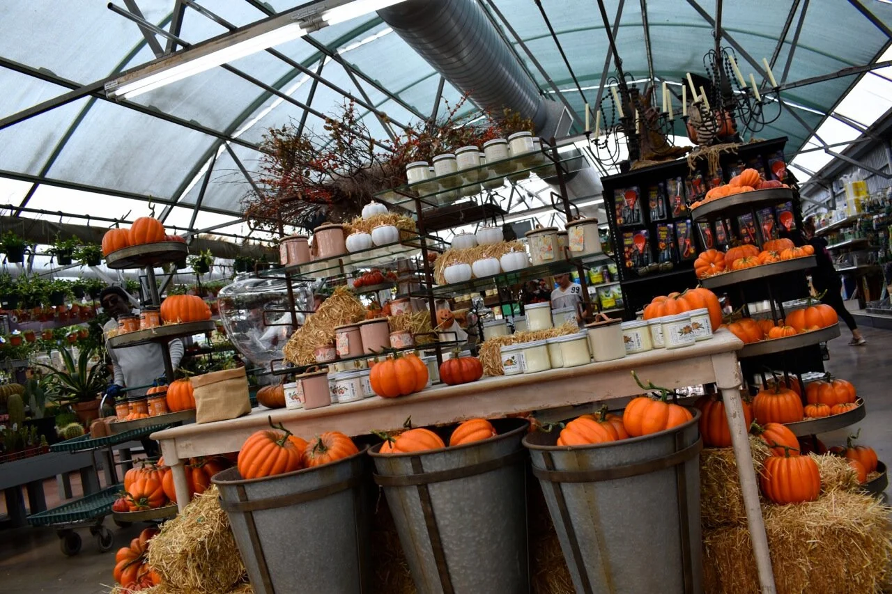 Nick's Garden Center 2019 3.jpg
