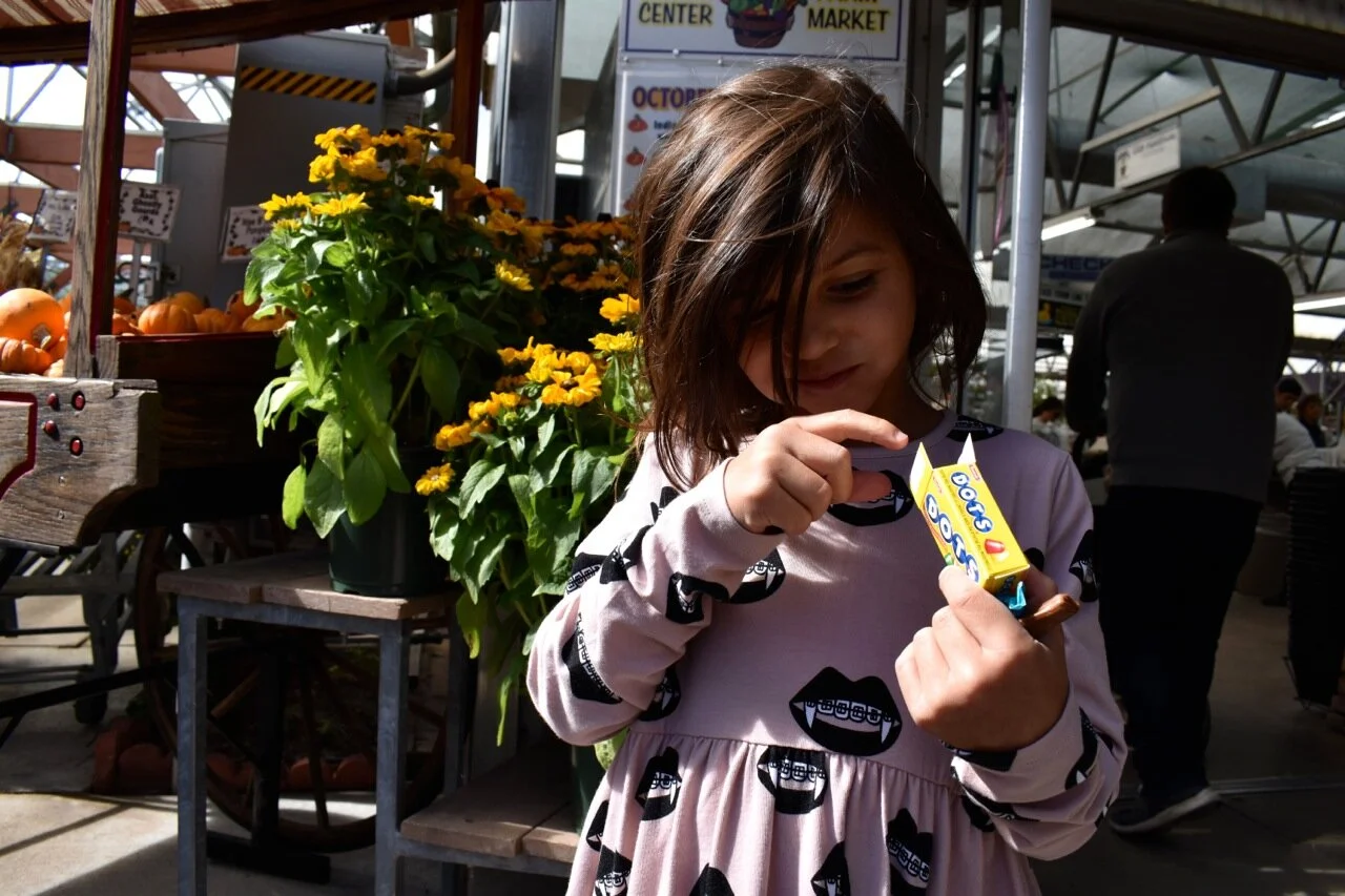 Nick's Garden Center 2019 5.jpg