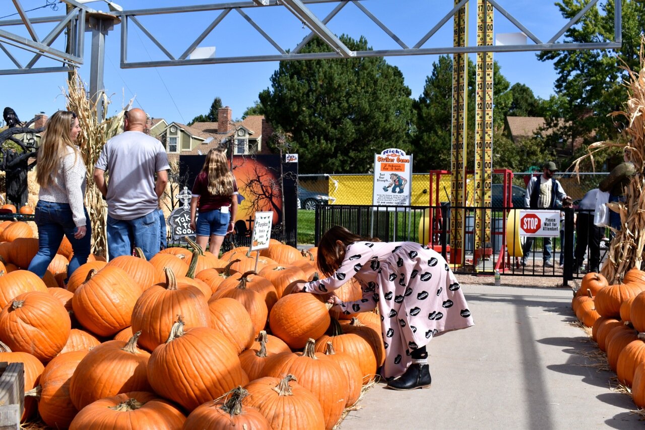 Nick's Garden Center 2019 8.jpg