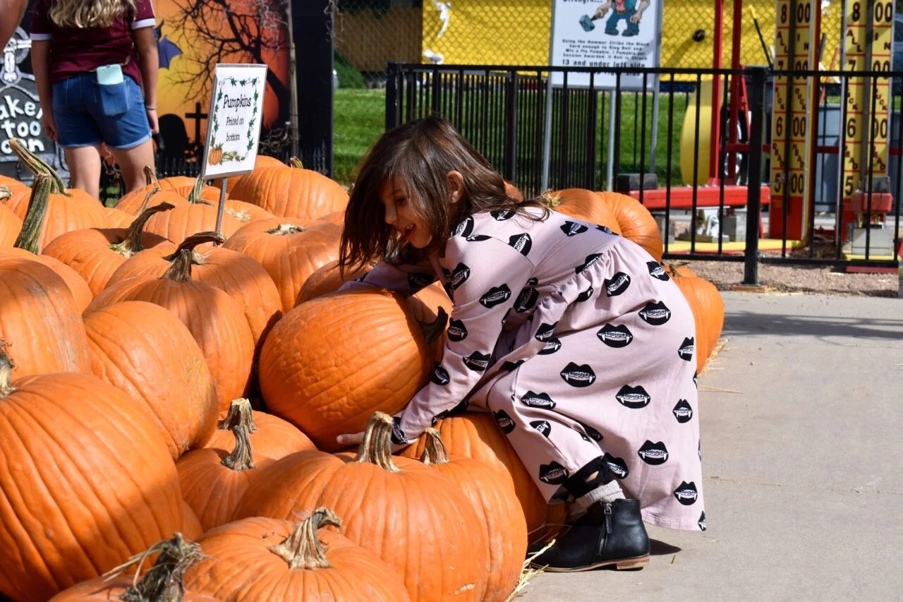 Nick's Garden Center 2019 9.jpg