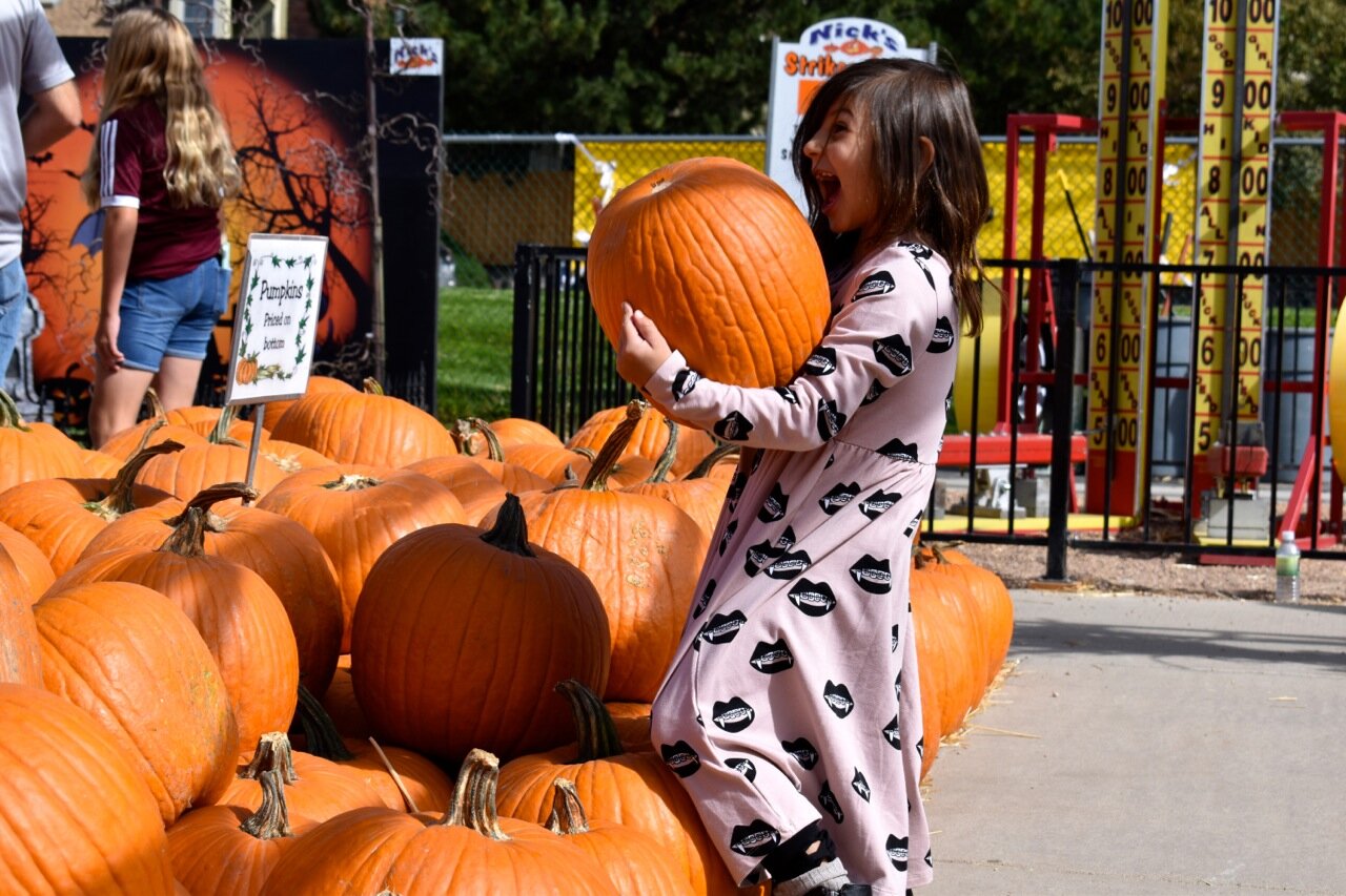 Nick's Garden Center 2019 11.jpg