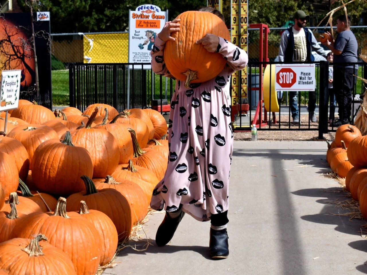 Nick's Garden Center 2019 13.jpg