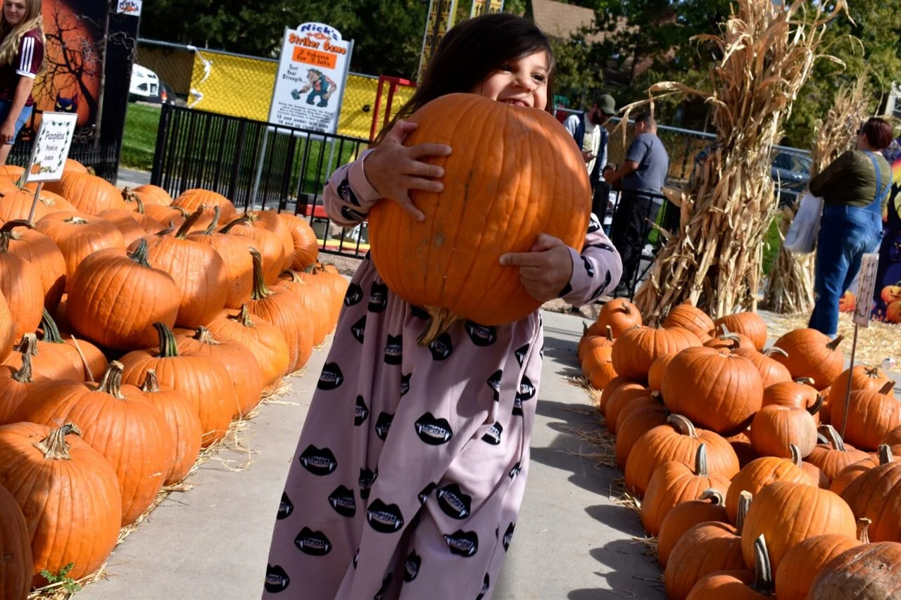 Nick's Garden Center 2019 14.jpg