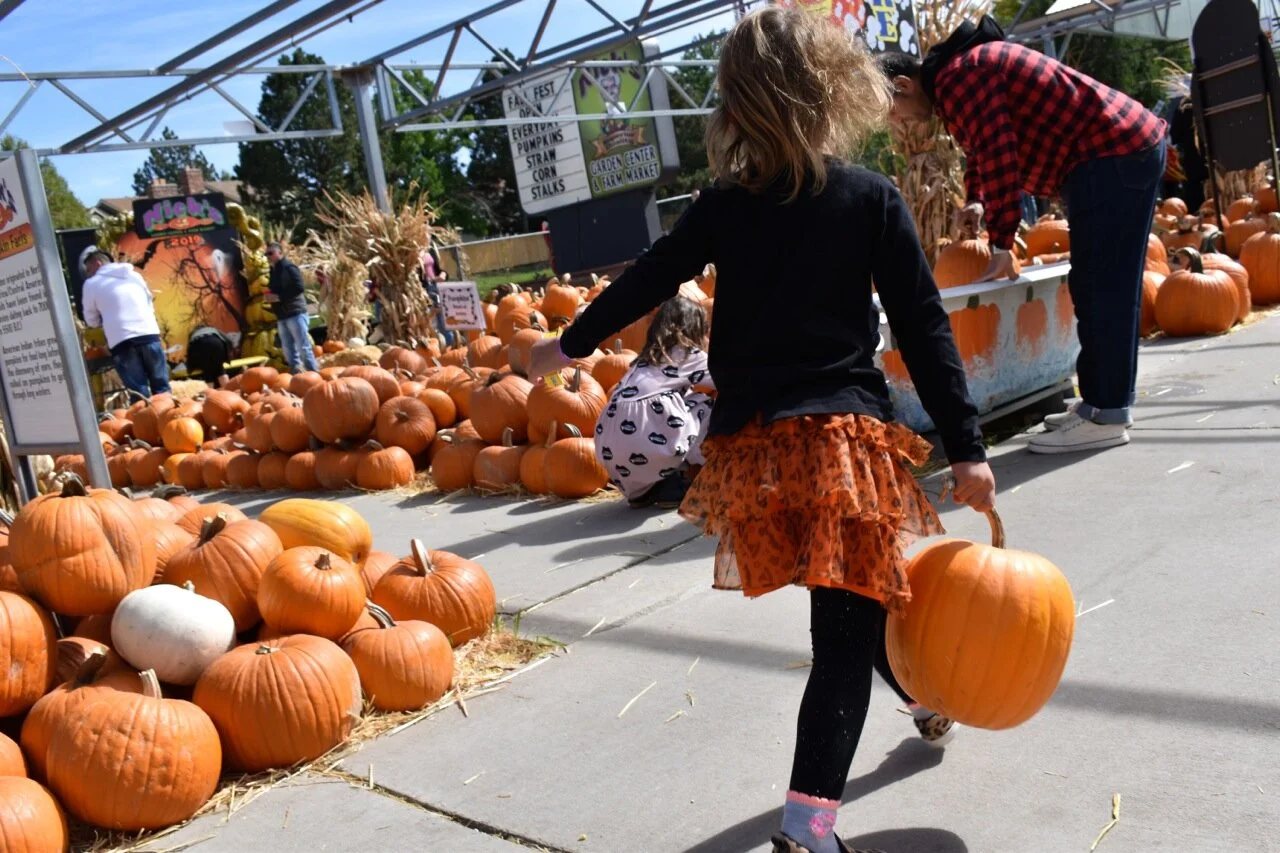 Nick's Garden Center 2019 19.jpg