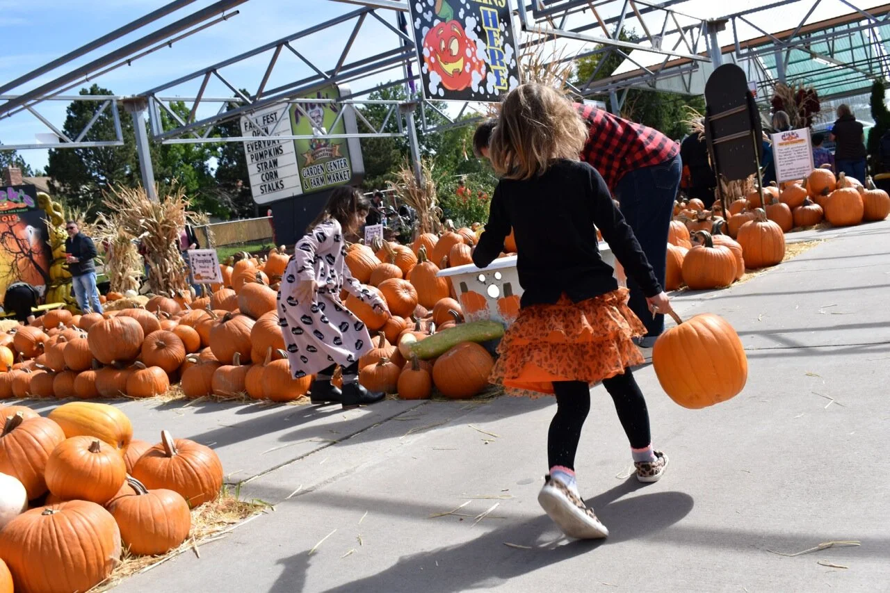 Nick's Garden Center 2019 20.jpg