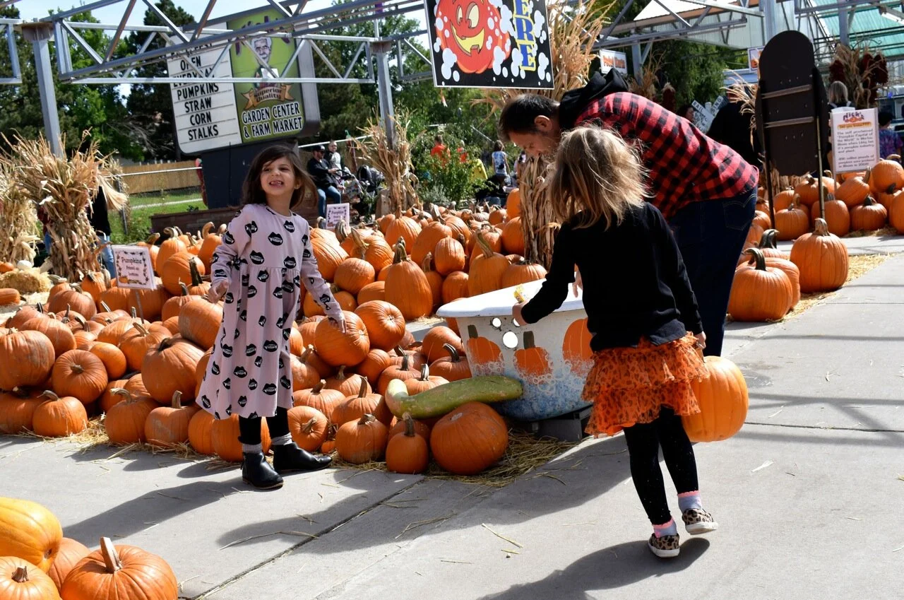 Nick's Garden Center 2019 21.jpg