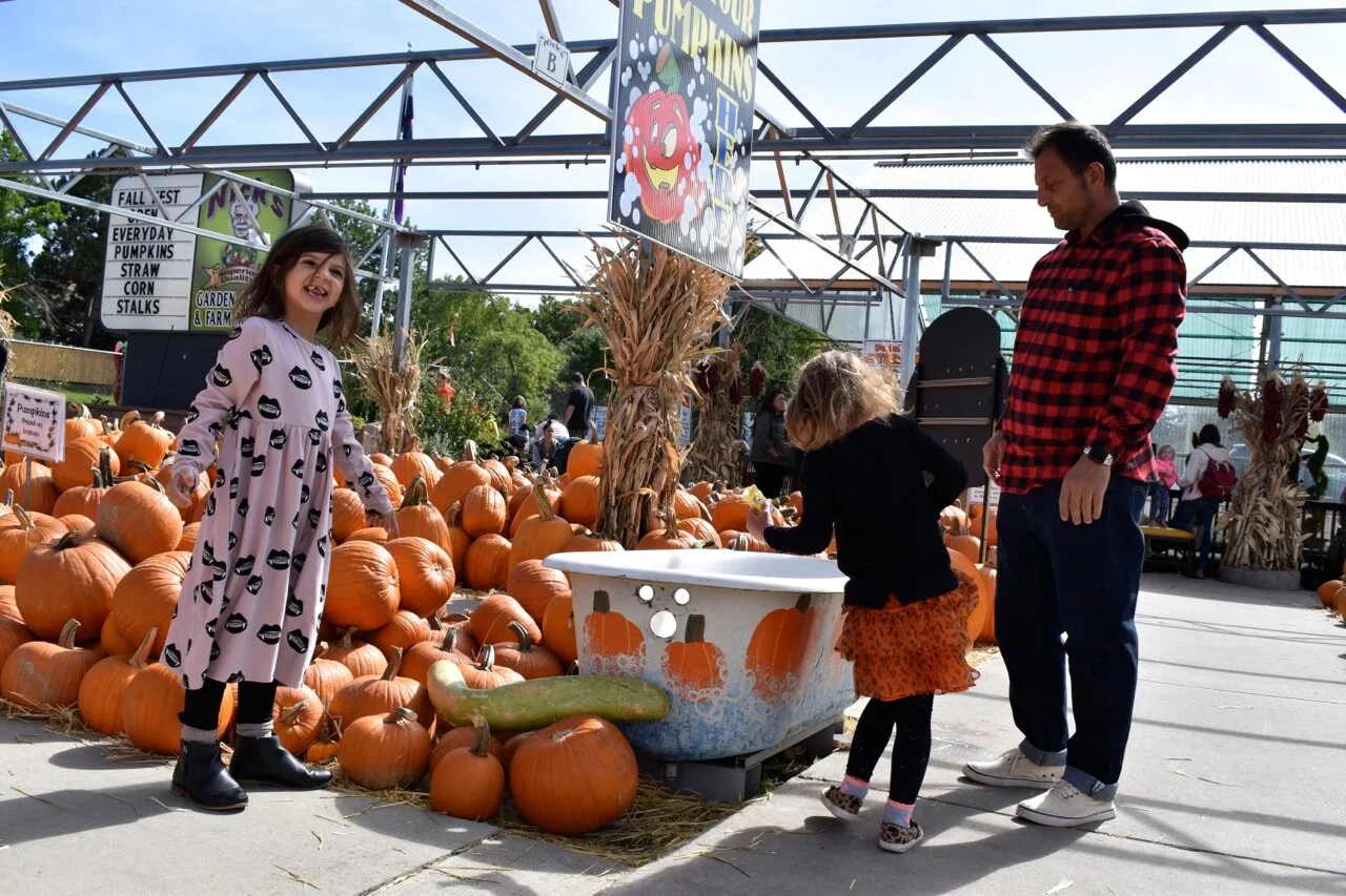 Nick's Garden Center 2019 22.jpg