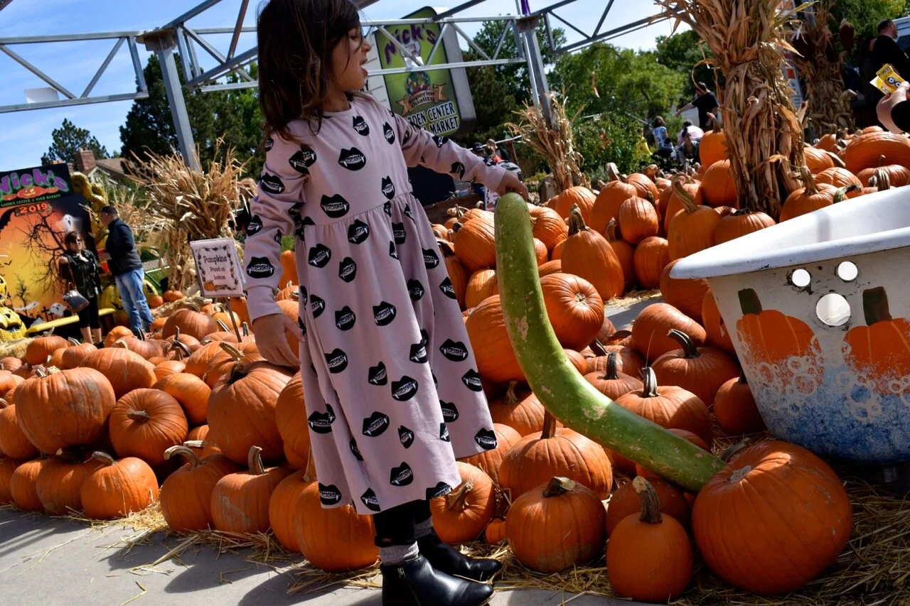 Nick's Garden Center 2019 23.jpg