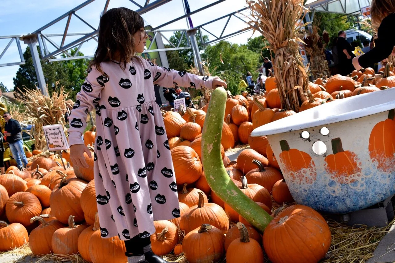 Nick's Garden Center 2019 24.jpg