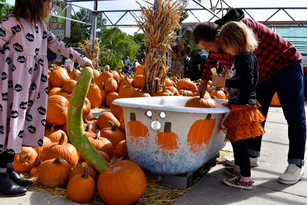 Nick's Garden Center 2019 26.jpg