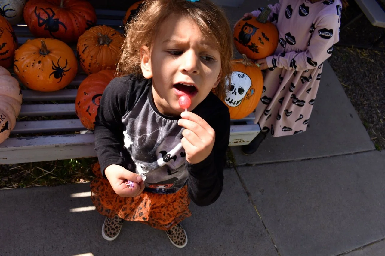 Nick's Garden Center 2019 31.jpg