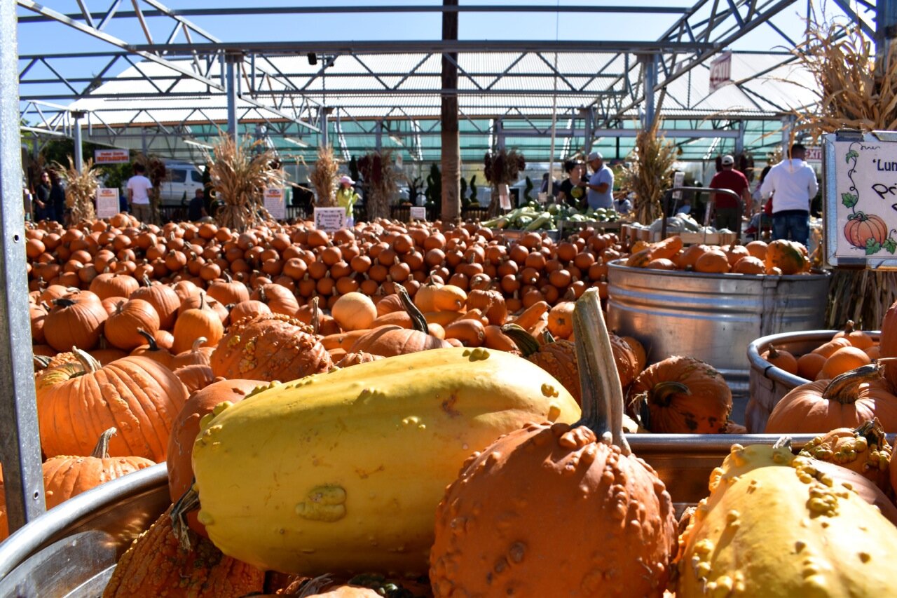 Nick's Garden Center 2019 38.jpg