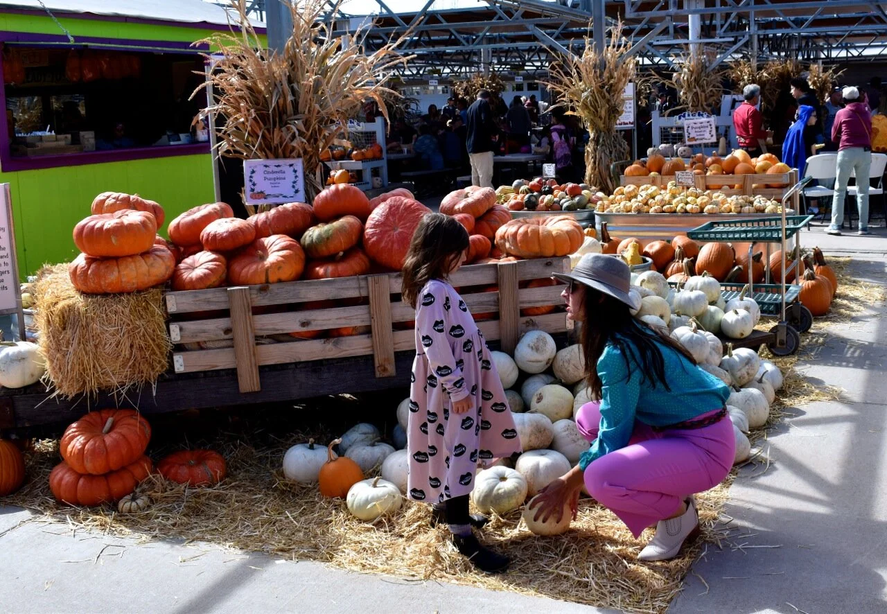 Nick's Garden Center 2019 42.jpg