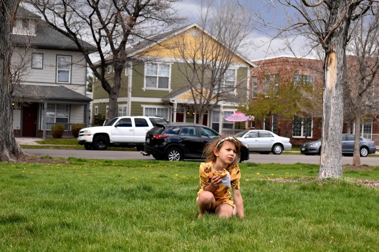 Denver Curtis Park and Shake Shack RiNo Spring Picnic 6.jpg