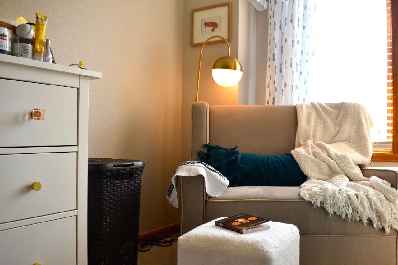 Twin Nursery 14.jpg