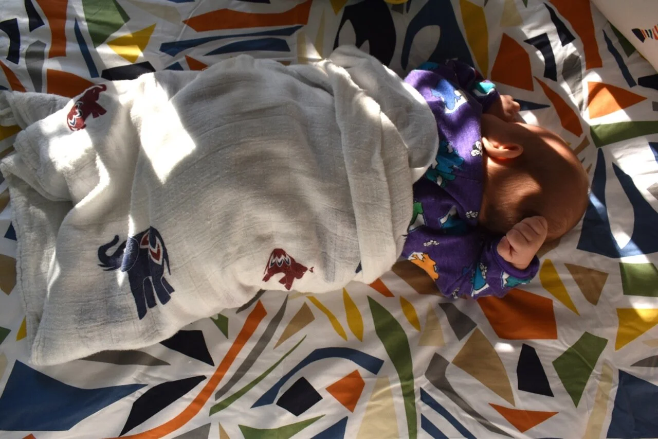Twin Nursery 15.jpg