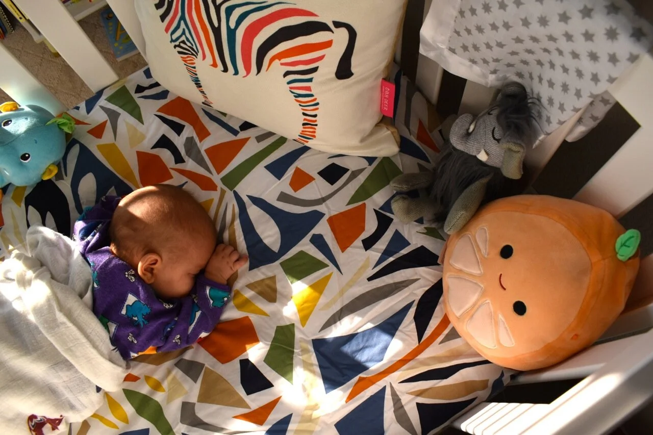Twin Nursery 35.jpg