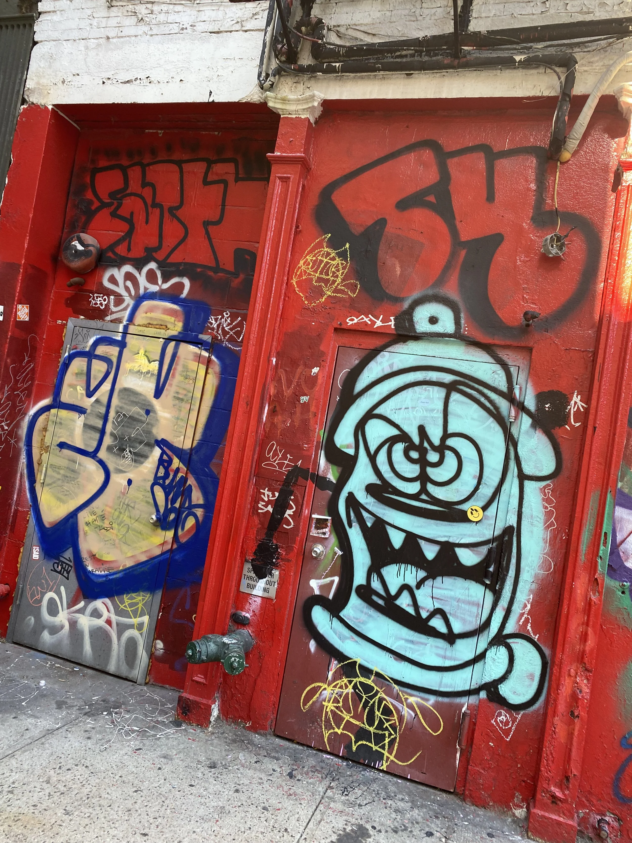 IMG_2455.jpeg