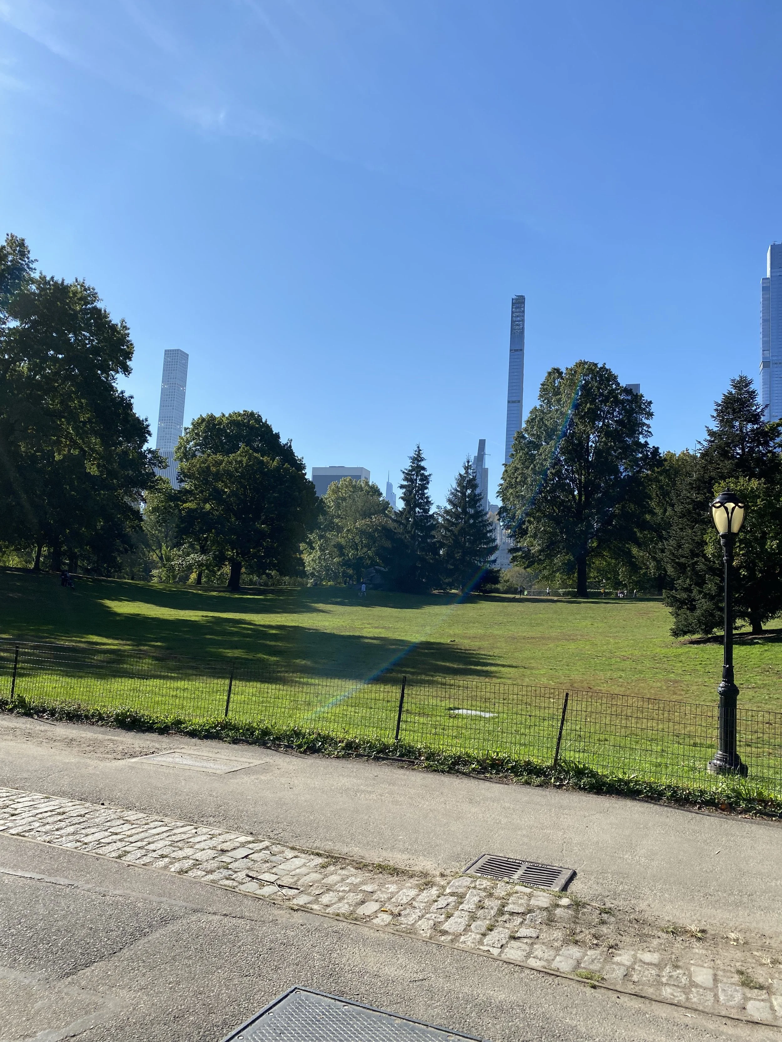 IMG_3113.jpeg