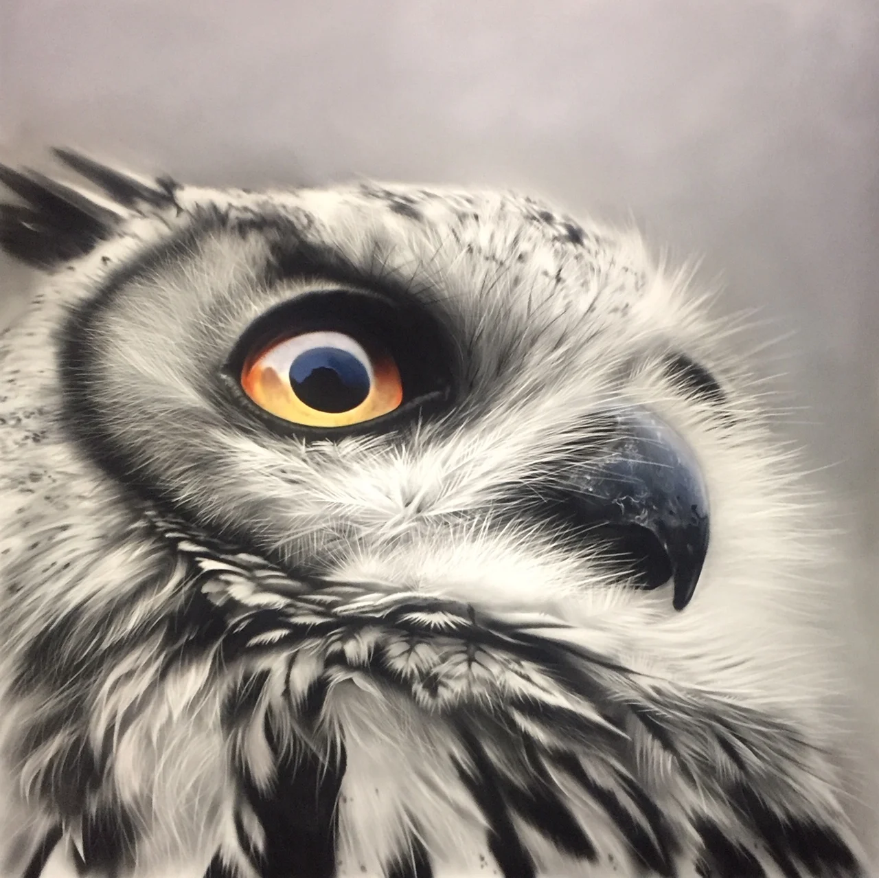  Created on Procreate  Reference photo by Charlotte Fawkes  