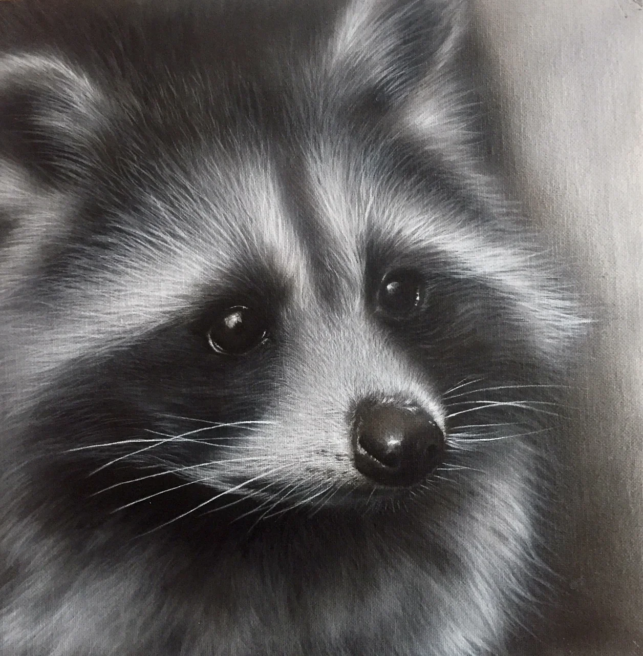 Woodland Bandit