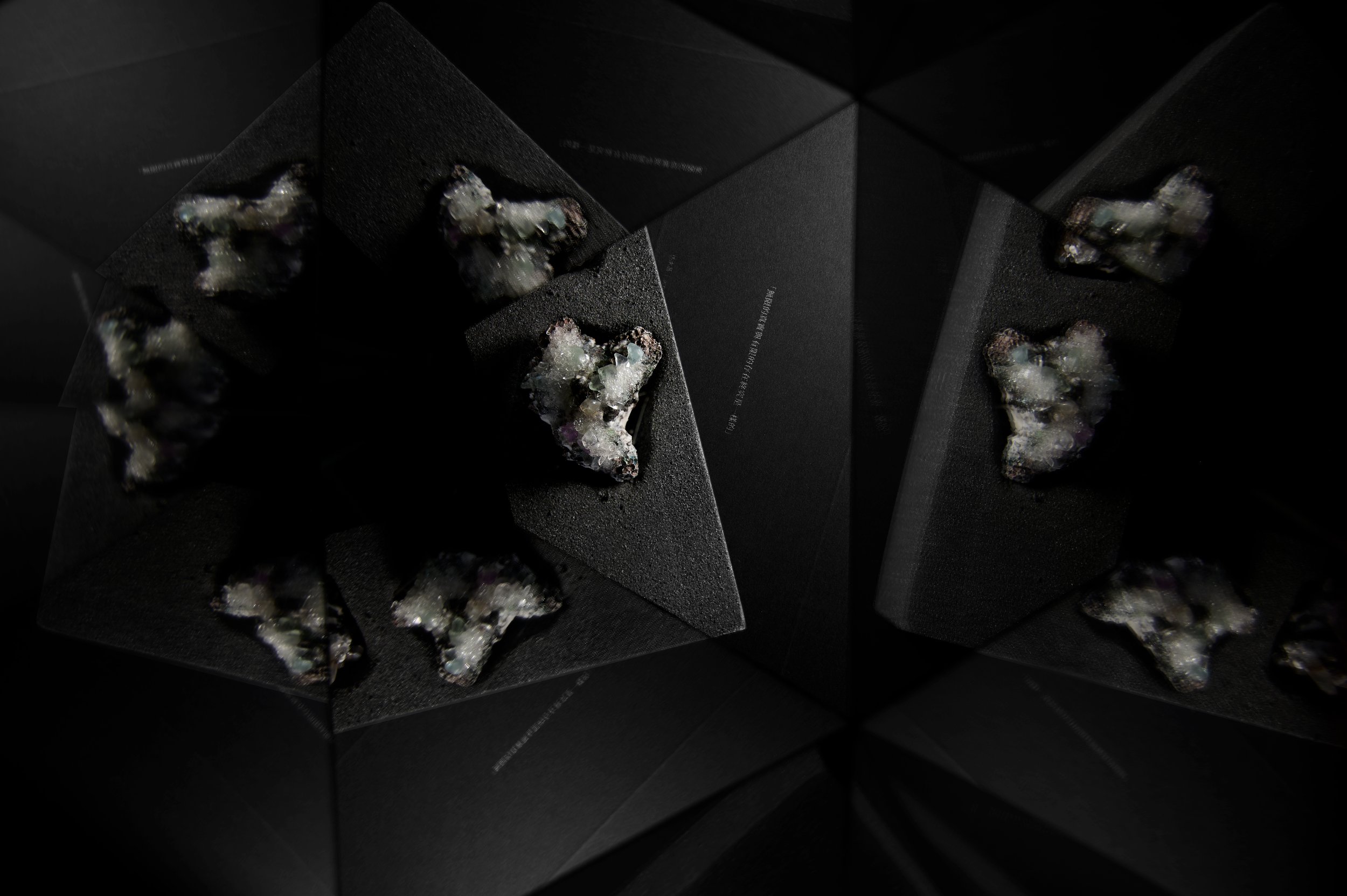 Capture One Catalog2918-3 dd.jpg