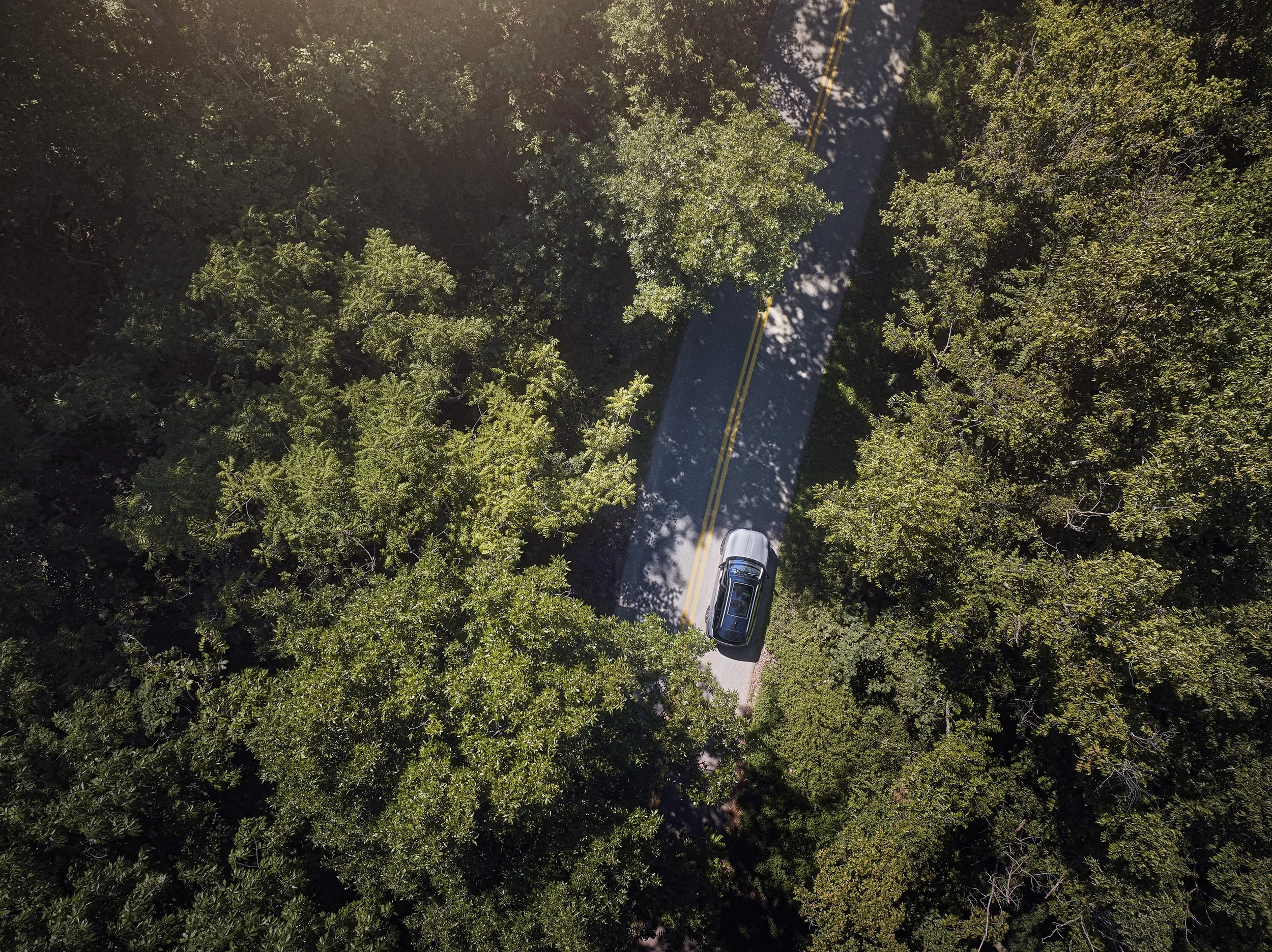 DJI_20240812110313_0081_D.jpg