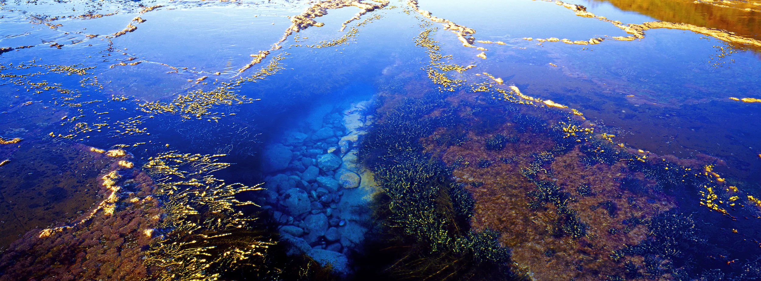 Blue Rock Pool.jpg