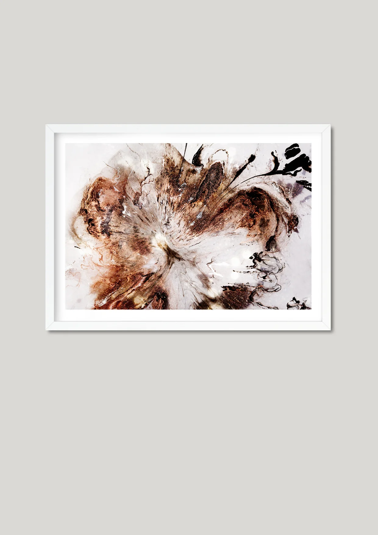 Actinoform Framed.jpg