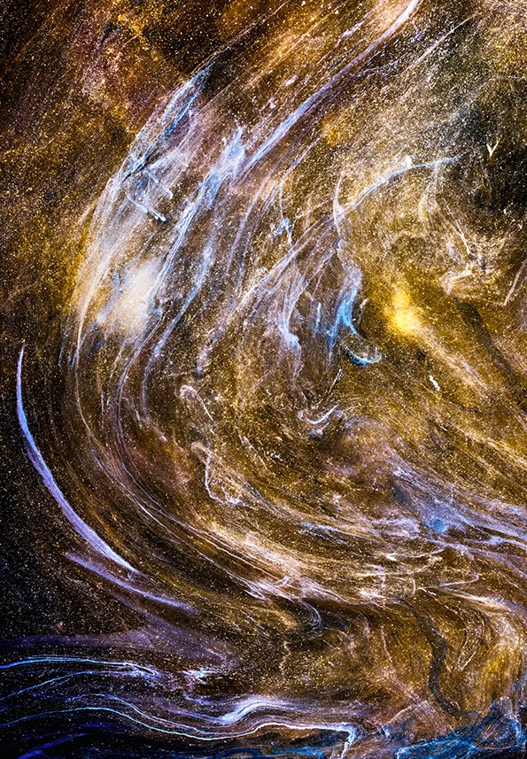 _DSF2952.jpg