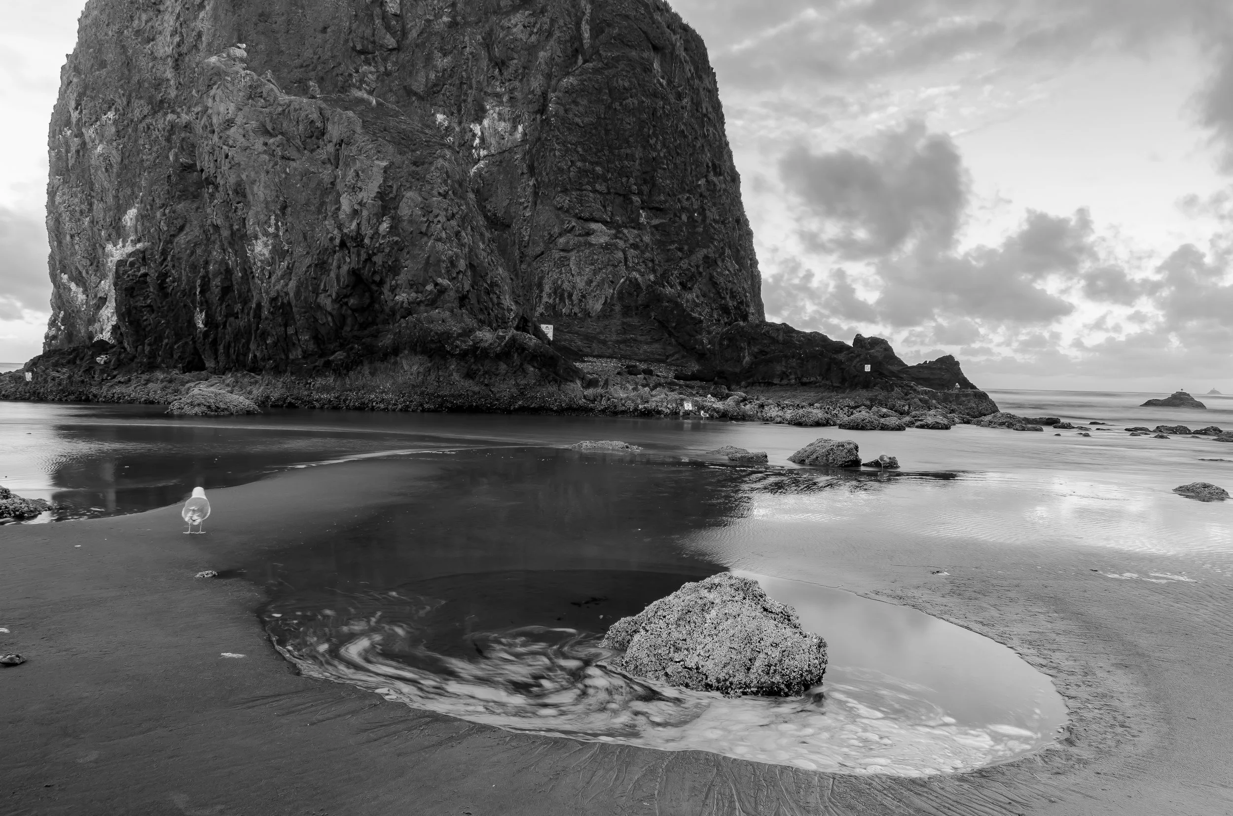 Oregon Coast-3.jpg