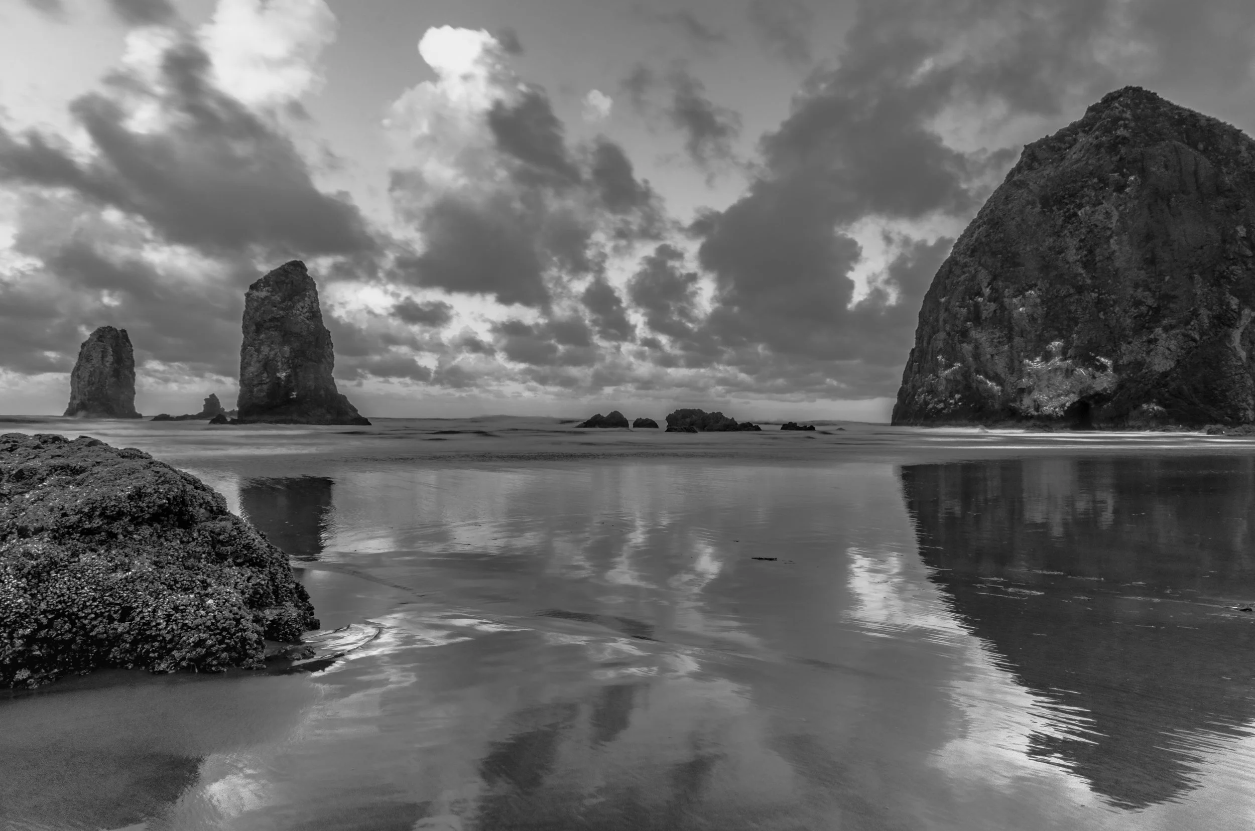 Oregon Coast 10.jpg