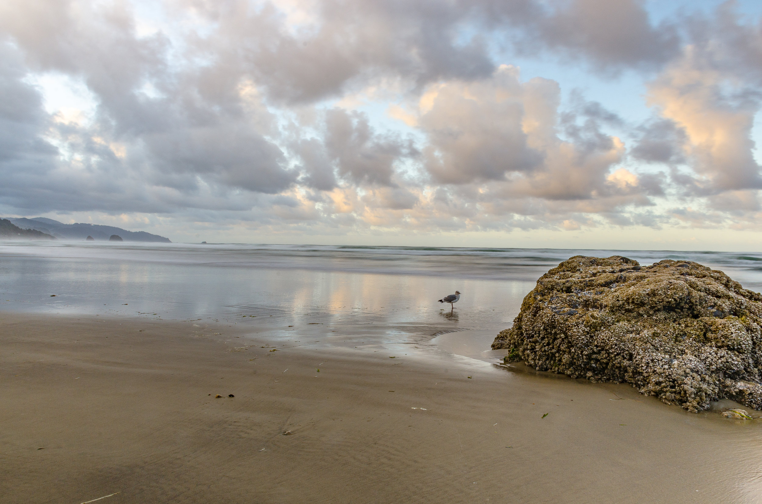 Oregon coast 11.jpg