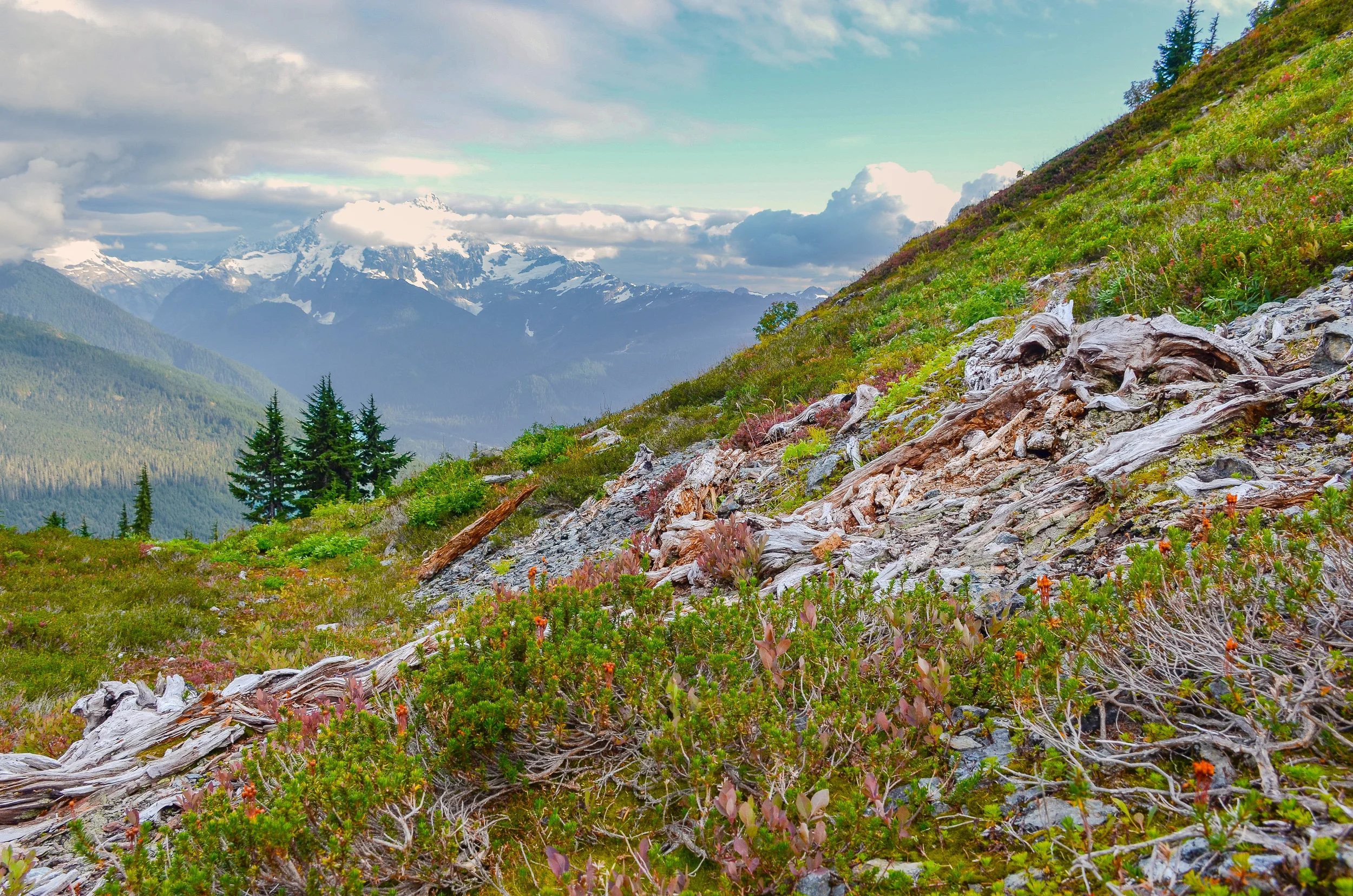 Norh Cascade USA.jpg