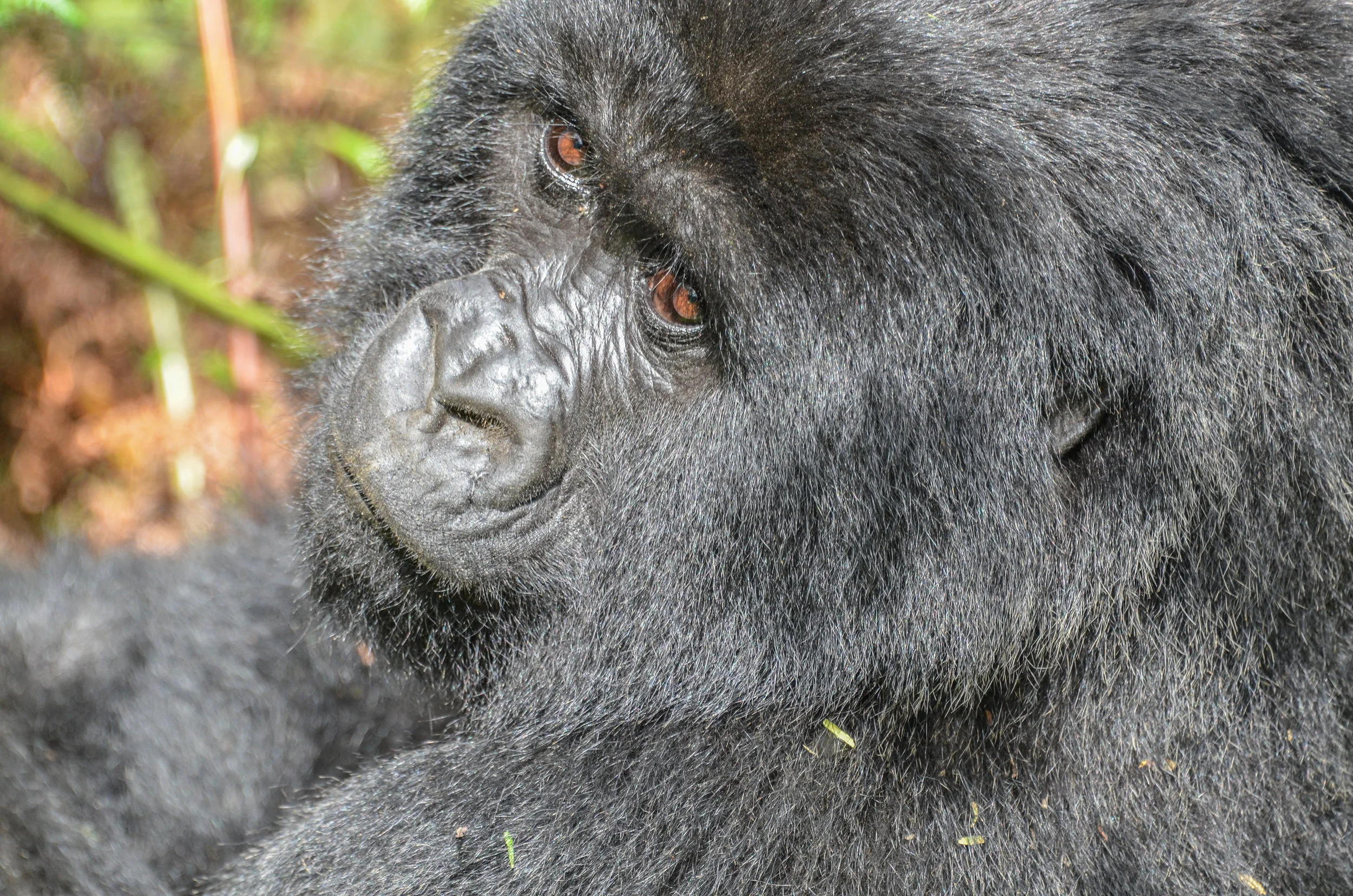 Africa Developed Photos 2017-22.jpg