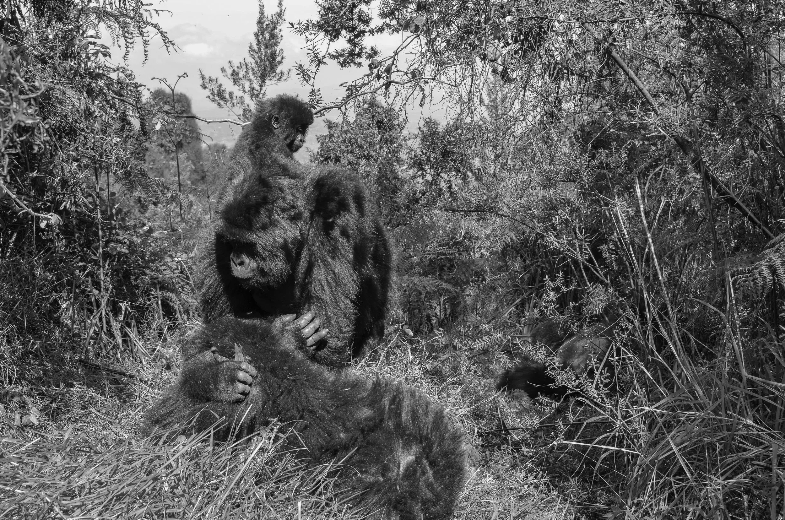 Africa Developed Photos 2017-32.jpg