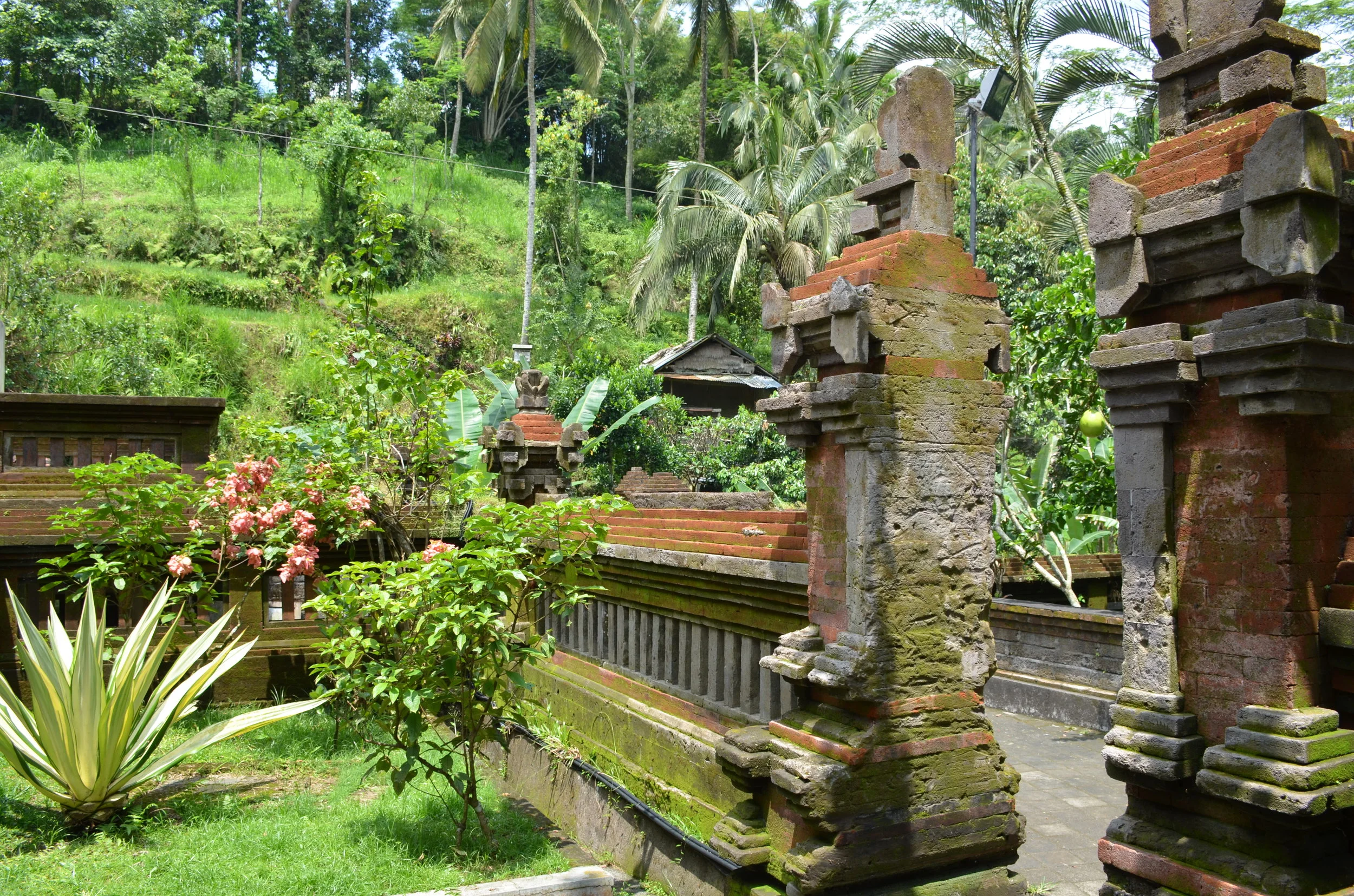 DSC_8905.JPG