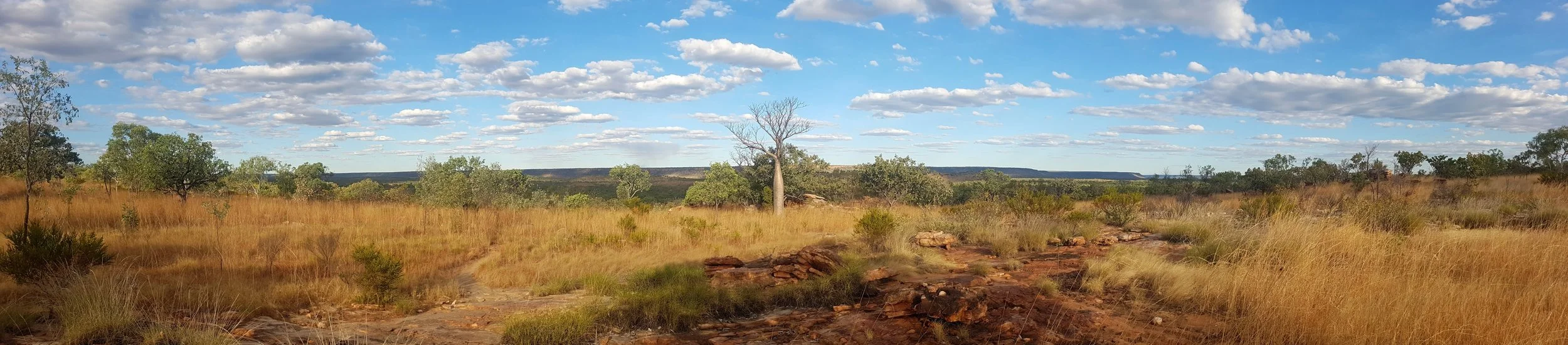 Kimberley landscape.jpg