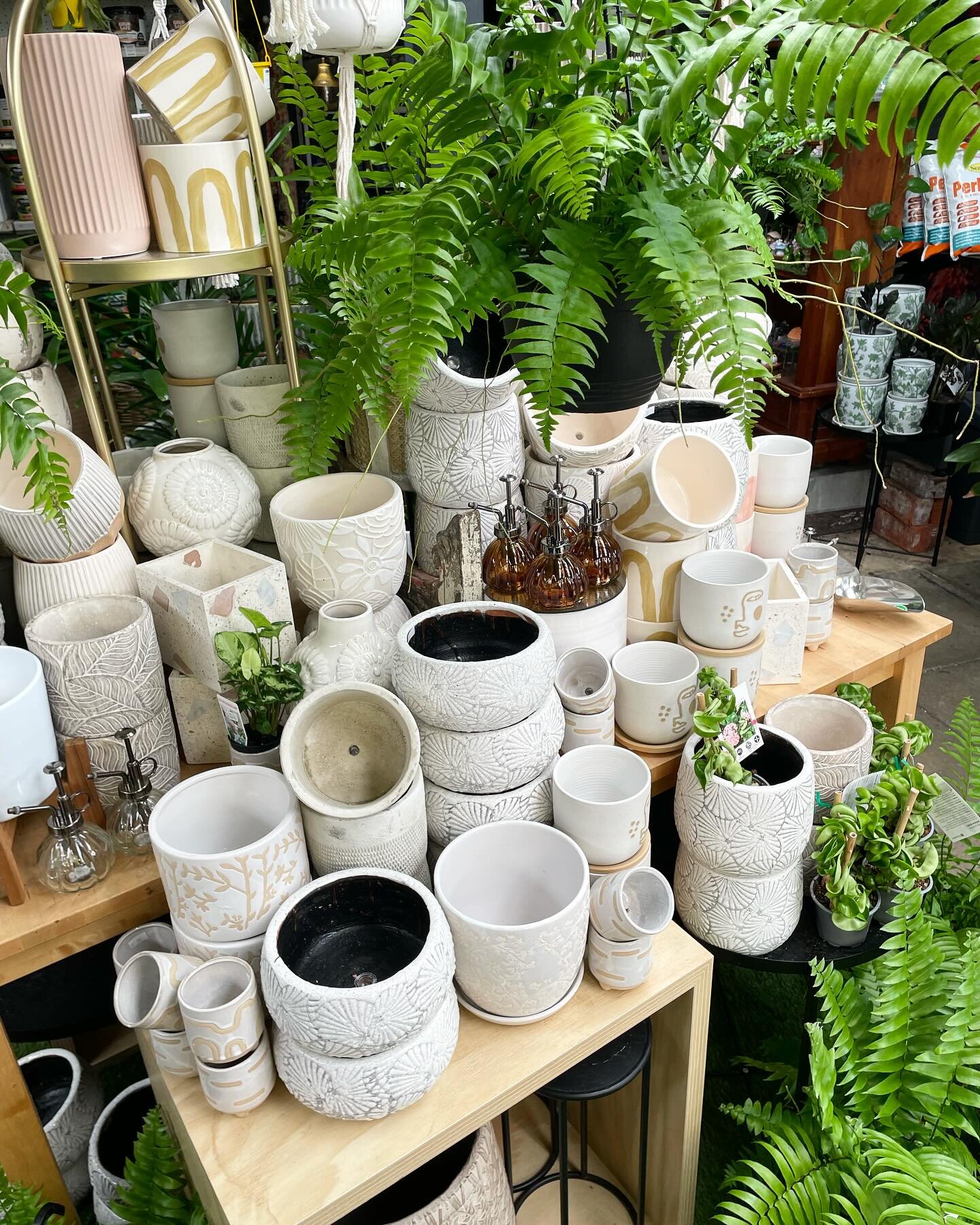 Indoor pots have arrived!!!! Even some beautiful bright new yellow ones 💛 
.
.
.
#miaflora #indoorpots #indoorgarden #gardencenter #perthplantshop